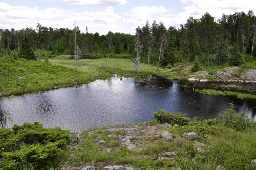 pond on Doral Trail in Ontario Canada